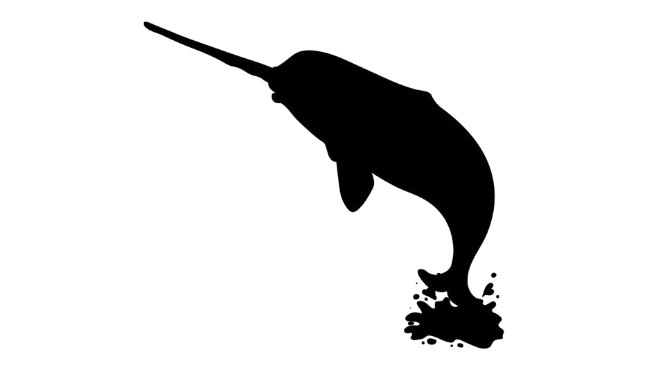 Narwhale Png Isolated File (white, black)