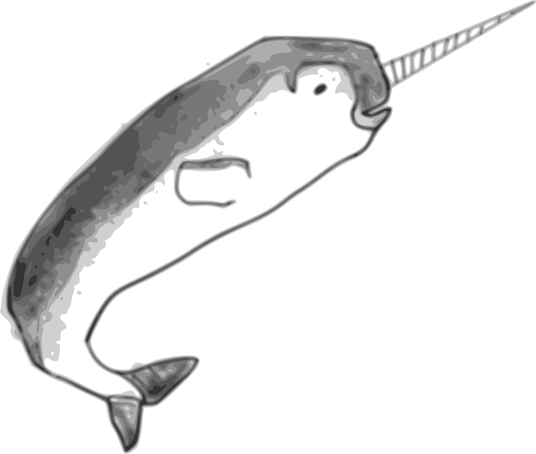 Narwhale Png Pic (gray, black)