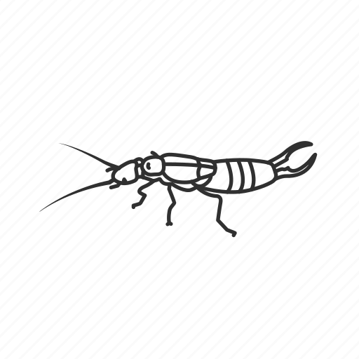 Earwig Bug Png File (black)