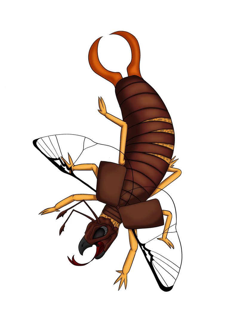 Earwig Bug Png Images (black, maroon)