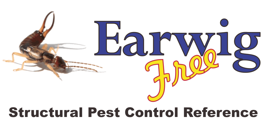 Earwig Bug Png Pic (gray)