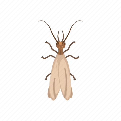 Earwig Female Png File (lavender, gray, white, silver)