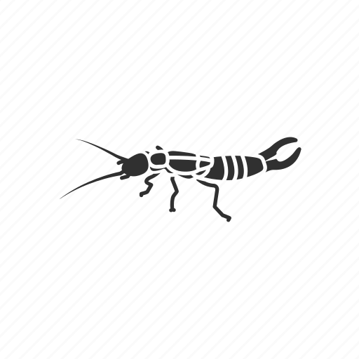 Earwig Png Hd Image (black)