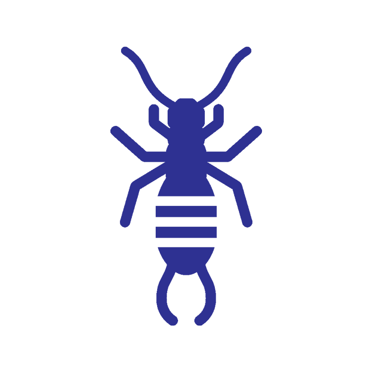 Earwig Png Pic (indigo, gray, white, navy, silver)