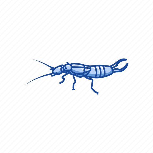 Earwig Transparent (black)