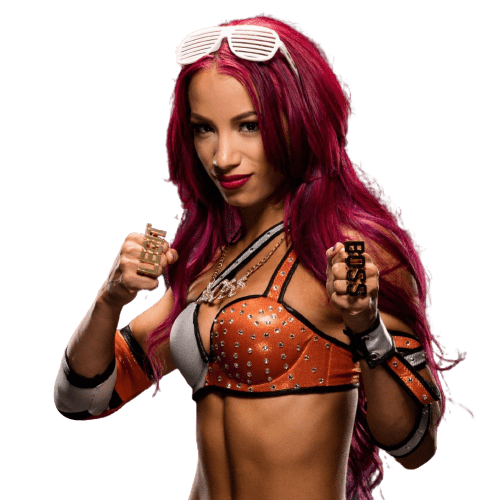 Sasha Banks Png Hd Isolated (black, gray)