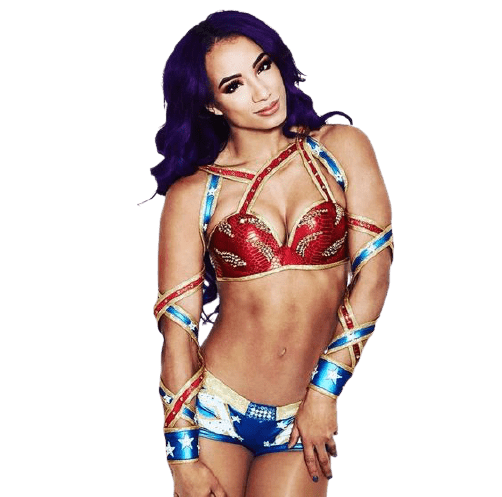 Sasha Banks Png Isolated Hd (gray)