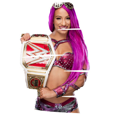 Sasha Banks Png Isolated Pic (black, silver)