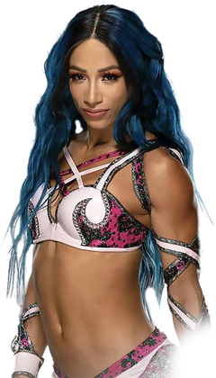 Sasha Banks Png Picture (black, salmon, gray)