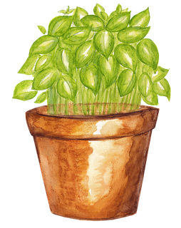 Basil Leaf Pot Drawing Png (black, olive)