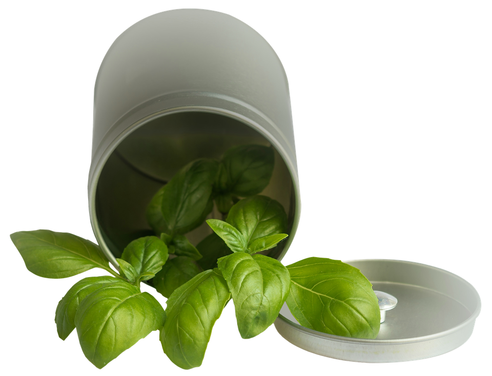 Basil Leaf Pot Falling Png (black, gray, silver)