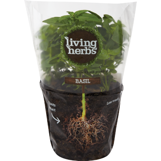 Basil Leaf Pot Living Herbs Png (lavender, black)