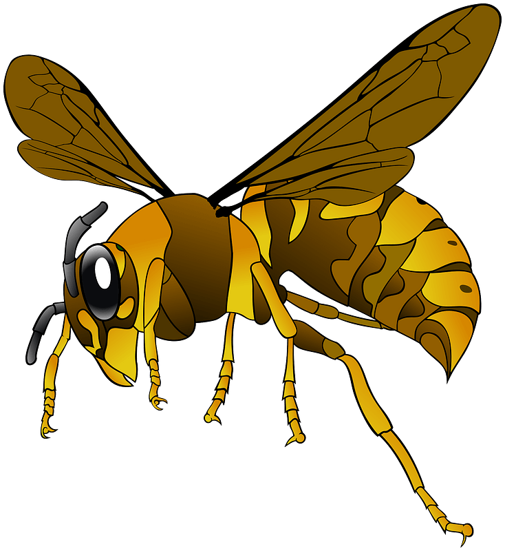 Wasp Bee (olive, gray)