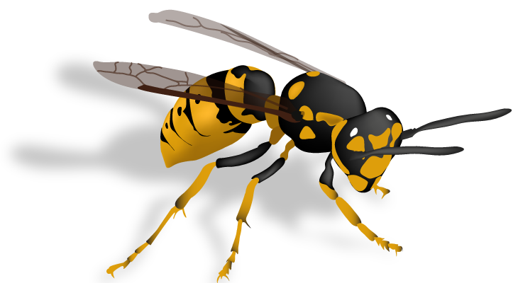 Wasp Bee Png Clipart (indigo, black)