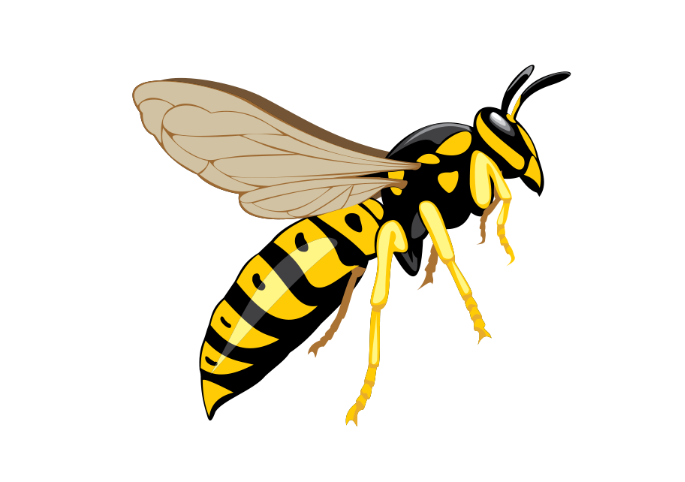 Wasp Bee Png Hd Image (black, silver)