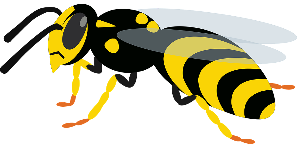 Wasp Bee Png (gold, gray, black, silver, salmon)