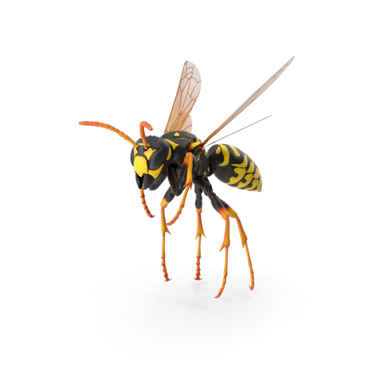 Wasp Hornet No Background (black)