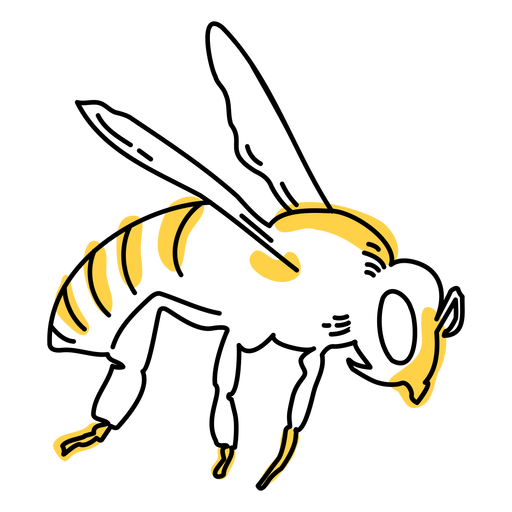 Wasp Hornet Png Cutout (gold, black)