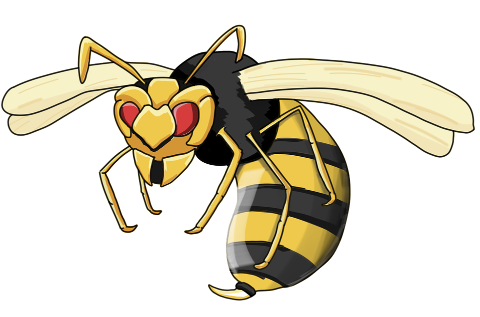 Wasp Hornet Png Picture (gold, beige, black, indigo)