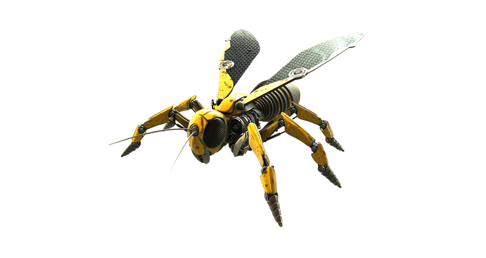 Wasp Insect Png File (olive, black)