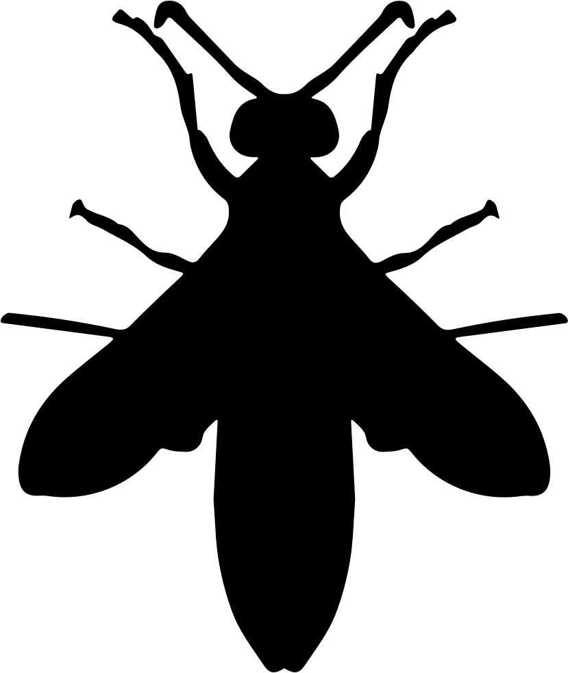 Wasp Insect Png Hd Isolated (black, lavender, white)