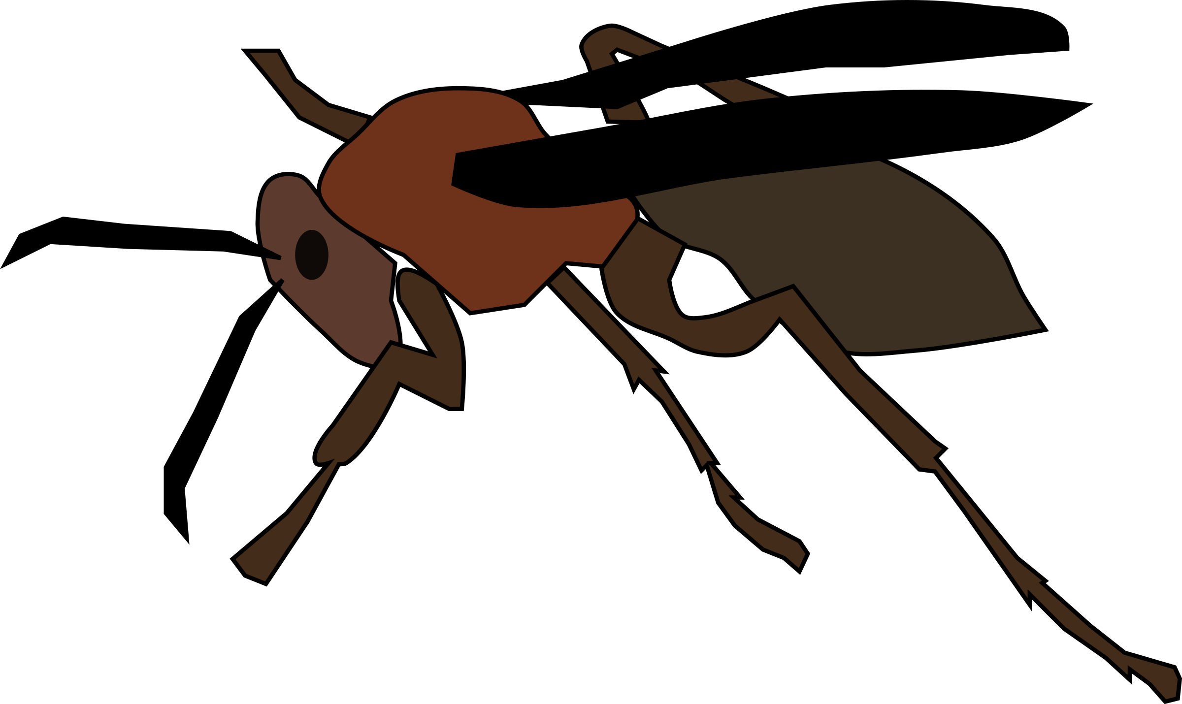 Wasp Insect Png Isolated Transparent Picture (maroon, black)