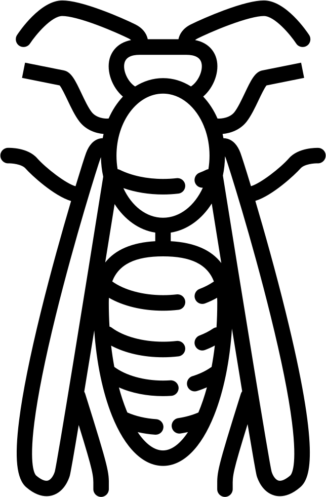 Wasp Insect Png Photos (black, white)