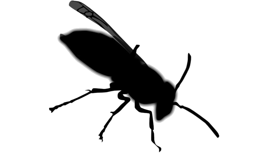 Wasp Insect Transparent Png (indigo, black, lavender, white)