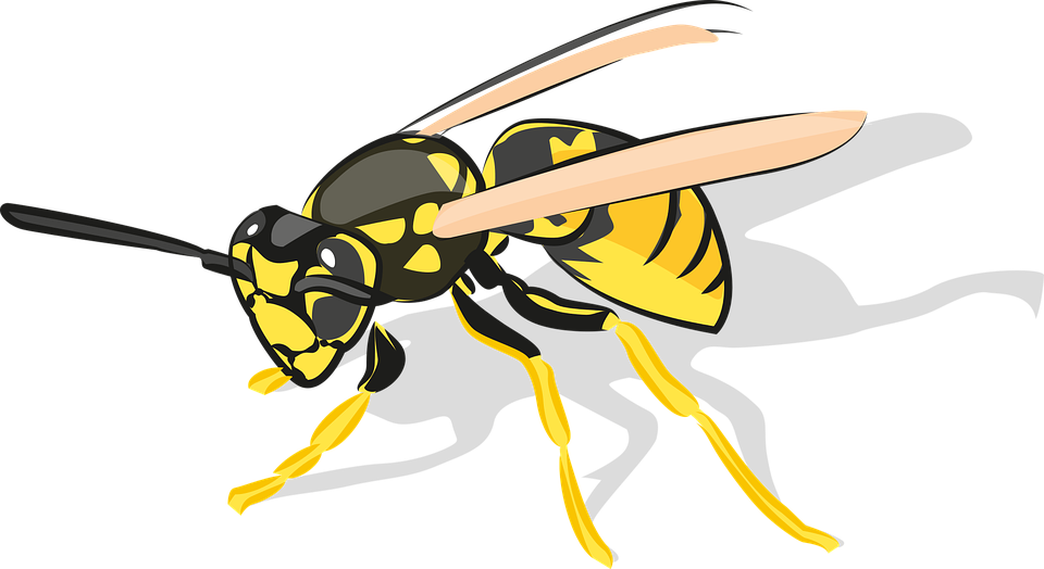 Wasp Png Free Image (black)