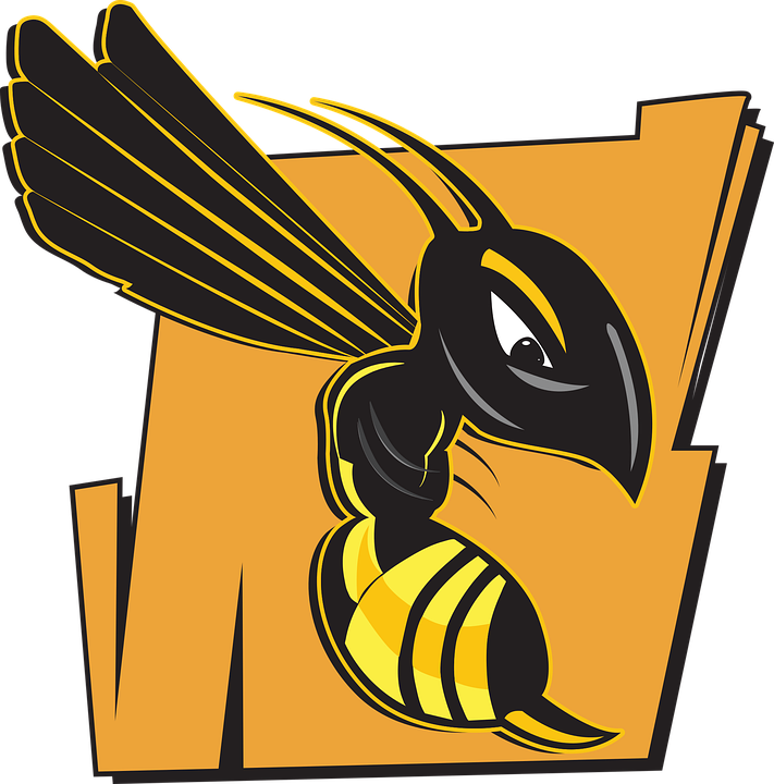 Wasp Png Images Hd (black, orange)