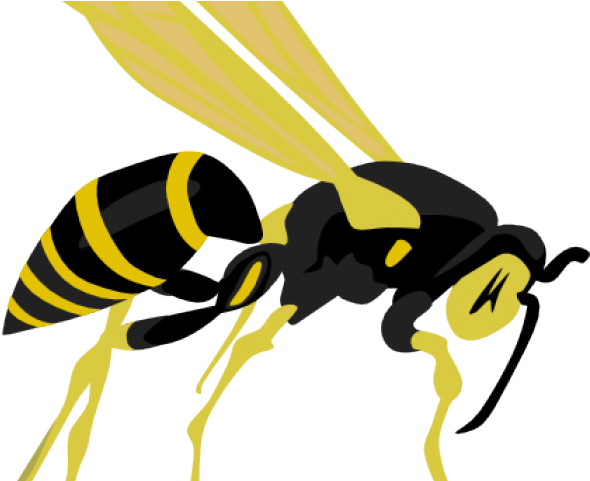 Wasp Queen Png (gold, black, salmon)