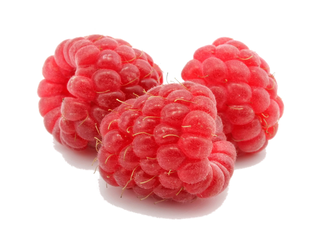 Raspberry Png File (chocolate, salmon, black)