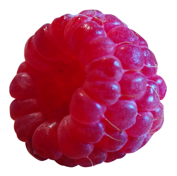 Raspberry Png Transparent Image (black, maroon)