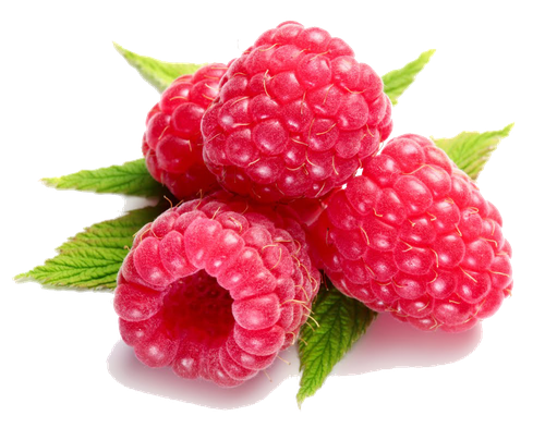 Raspberry Transparent Background (salmon, pink, black)