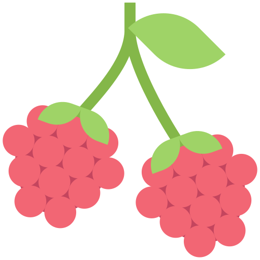 Raspberry Berry Berries Leaves Fruit Food Organic Healthy Icon Free Transparent Png Icon Download (gray, salmon, black)