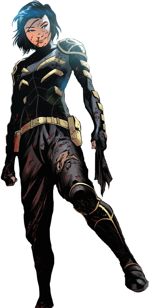 Cassandra Cain Png Isolated Hd (black)