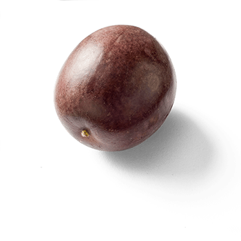 Passion Fruit Transparent Png (black, gray)