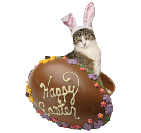 Easter Bunny Chocolate Png Free Download (chocolate, gray, olive, black, maroon)