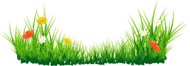 Easter Egg Grass Png Image (olive, green, black)