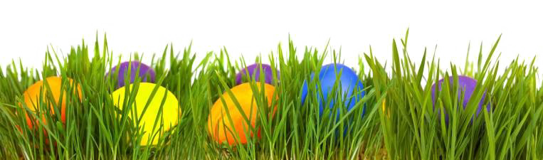 Easter Egg Grass Png Transparent (white)