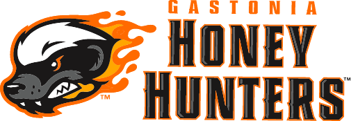 Gastonia Honey Hunters Png Hd (black, gray, chocolate, white)