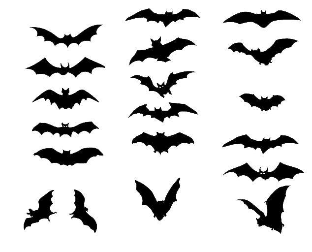 Bat Tattoo Png Hd Image (black, white)