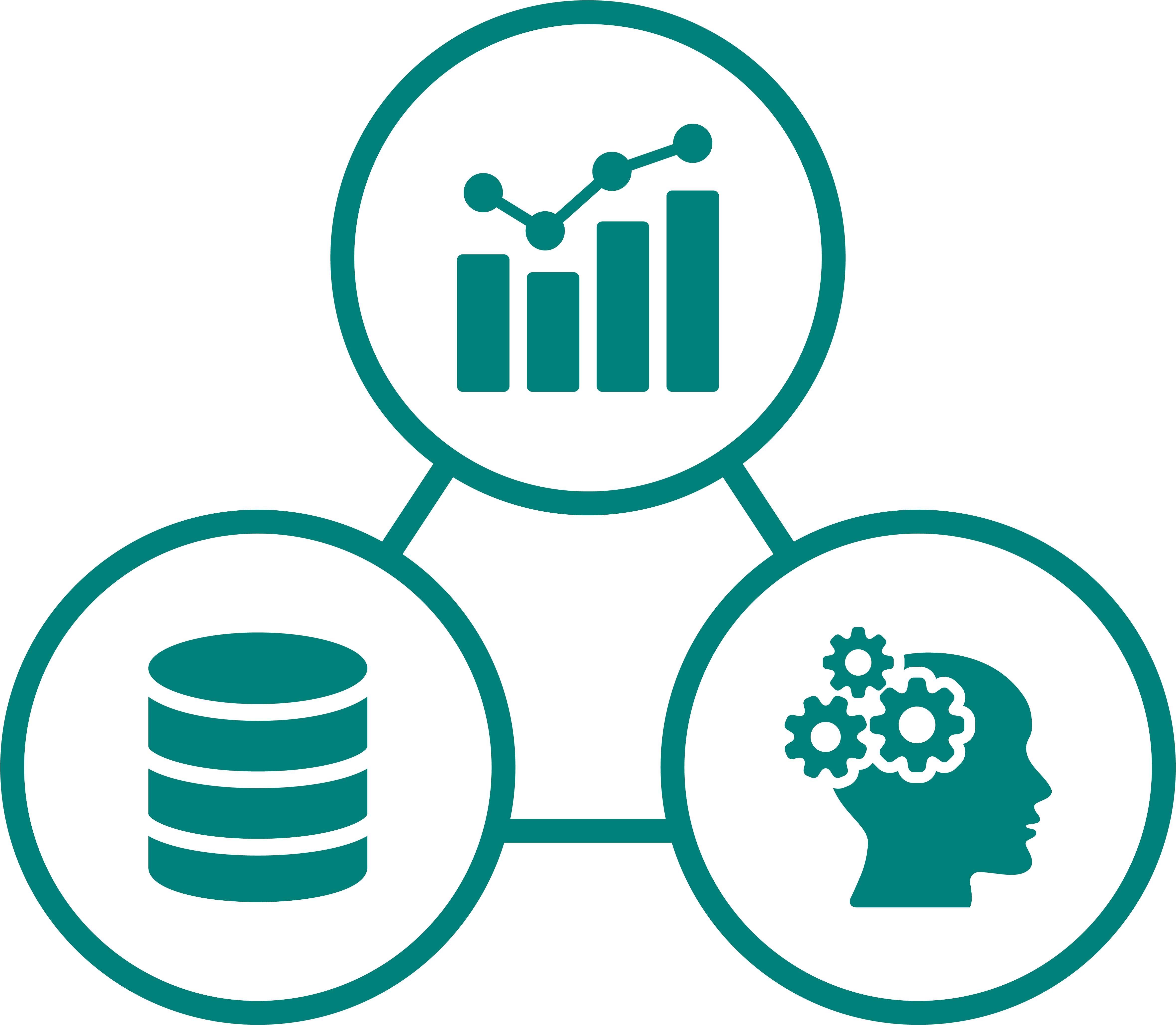 Data Transparent (teal, white)