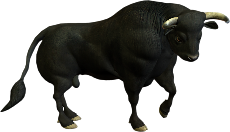 Water Buffalo Png Photo (black)