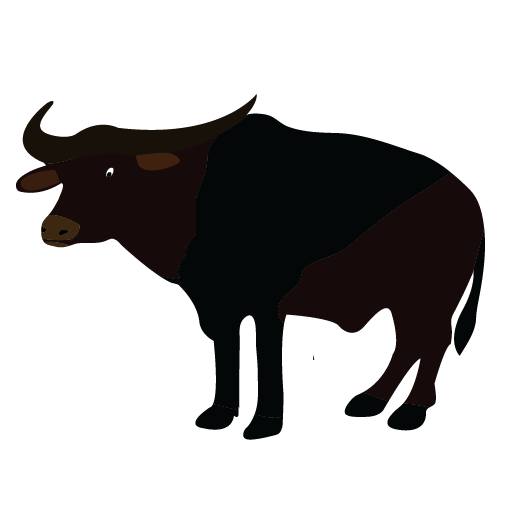 Water Buffalo Png Picture (black, white)