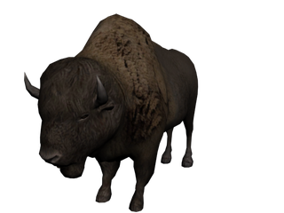 Water Buffalo Png Transparent Image (black)