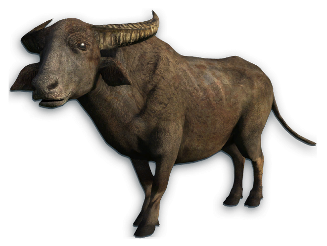 Water Buffalo Png Transparent Picture (white, gray, lavender, black, silver)