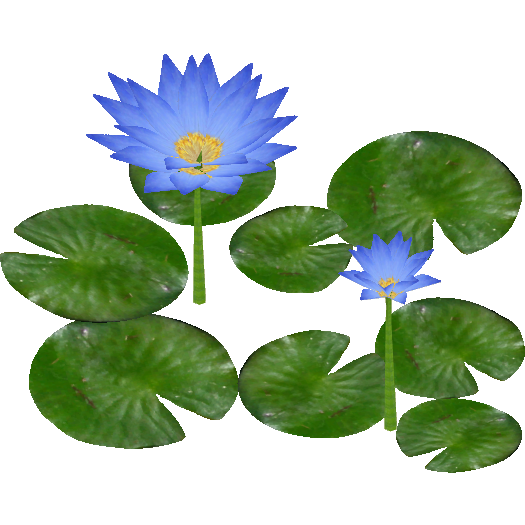 Water Lily Png Clipart (olive, gray, green, white)