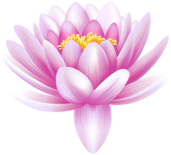 Water Lily Png Photos (black, lavender, white)