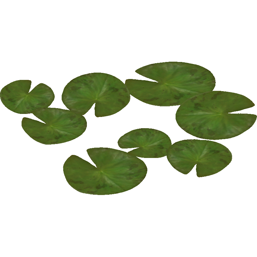 Water Lily Png Pic (olive, white)